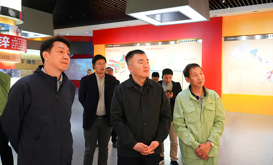 10.4-2024年04月，自然資源部礦保司副司長(zhǎng)王博蒞臨公司調(diào)研。.jpg